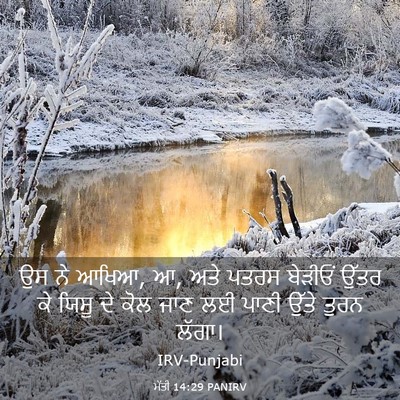 Picture 03 - ਮੱਤੀ 14:29 PANIRV - ਉਸ ਨੇ ਆਖਿਆ, ਆ, ਅਤੇ - Bible Verse Picture