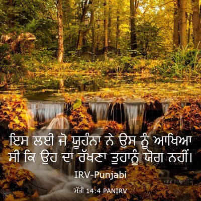 Picture 03 - ਮੱਤੀ 14:4 PANIRV - ਇਸ ਲਈ ਜੋ ਯੂਹੰਨਾ ਨੇ - Bible Verse Picture