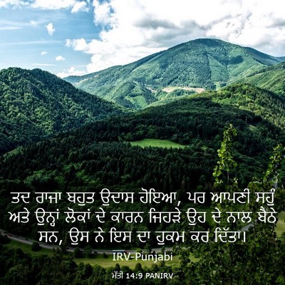 Picture 03 - ਮੱਤੀ 14:9 PANIRV - ਤਦ ਰਾਜਾ ਬਹੁਤ ਉਦਾਸ - Bible Verse Picture