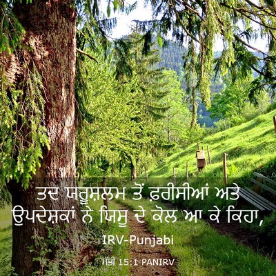Picture 03 - ਮੱਤੀ 15:1 PANIRV - ਤਦ ਯਰੂਸ਼ਲਮ ਤੋਂ - Bible Verse Picture