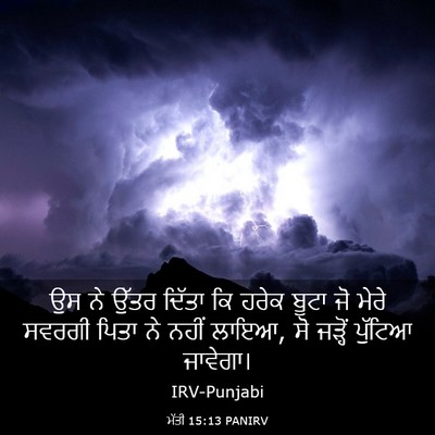 Picture 03 - ਮੱਤੀ 15:13 PANIRV - ਉਸ ਨੇ ਉੱਤਰ ਦਿੱਤਾ ਕਿ - Bible Verse Picture