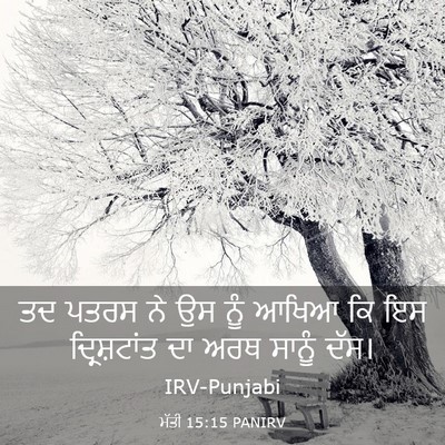 Picture 03 - ਮੱਤੀ 15:15 PANIRV - ਤਦ ਪਤਰਸ ਨੇ ਉਸ ਨੂੰ - Bible Verse Picture