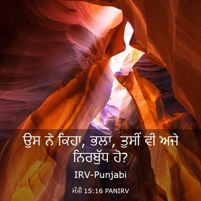 Picture 03 - ਮੱਤੀ 15:16 PANIRV - ਉਸ ਨੇ ਕਿਹਾ, ਭਲਾ, - Bible Verse Picture