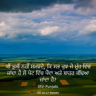 Picture 03 - ਮੱਤੀ 15:17 PANIRV - ਕੀ ਤੁਸੀਂ ਨਹੀਂ - Bible Verse Picture