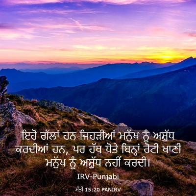 Picture 03 - ਮੱਤੀ 15:20 PANIRV - ਇਹੋ ਗੱਲਾਂ ਹਨ - Bible Verse Picture