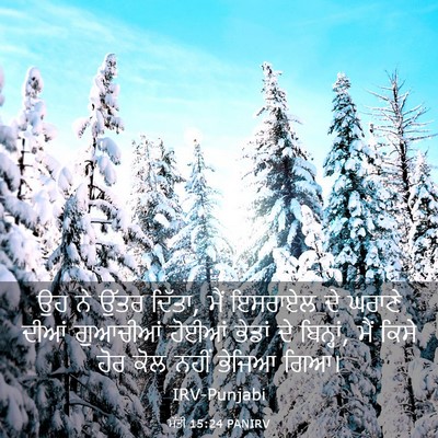 Picture 03 - ਮੱਤੀ 15:24 PANIRV - ਉਹ ਨੇ ਉੱਤਰ ਦਿੱਤਾ, - Bible Verse Picture