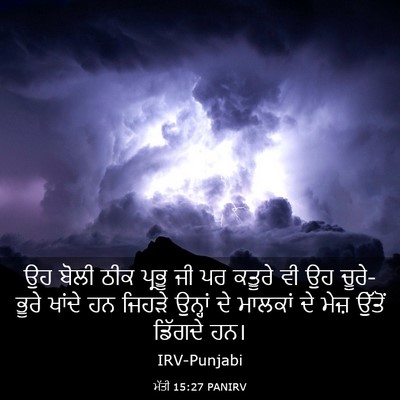 Picture 03 - ਮੱਤੀ 15:27 PANIRV - ਉਹ ਬੋਲੀ ਠੀਕ ਪ੍ਰਭੂ - Bible Verse Picture
