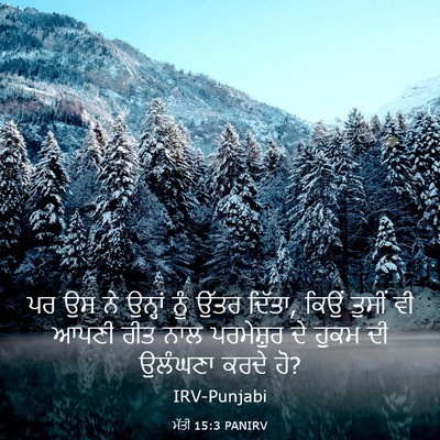 Picture 03 - ਮੱਤੀ 15:3 PANIRV - ਪਰ ਉਸ ਨੇ ਉਨ੍ਹਾਂ ਨੂੰ - Bible Verse Picture