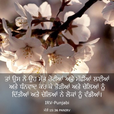 Picture 03 - ਮੱਤੀ 15:36 PANIRV - ਤਾਂ ਉਸ ਨੇ ਉਹ ਸੱਤ - Bible Verse Picture