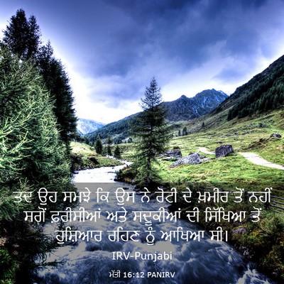 Picture 03 - ਮੱਤੀ 16:12 PANIRV - ਤਦ ਉਹ ਸਮਝੇ ਕਿ ਉਸ ਨੇ - Bible Verse Picture