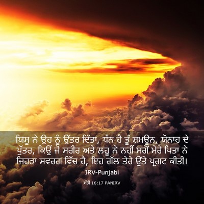 Picture 03 - ਮੱਤੀ 16:17 PANIRV - ਯਿਸੂ ਨੇ ਉਹ ਨੂੰ ਉੱਤਰ - Bible Verse Picture
