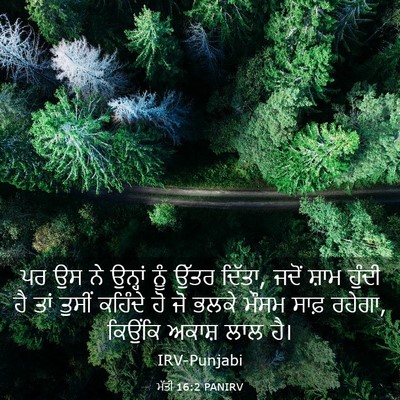 Picture 03 - ਮੱਤੀ 16:2 PANIRV - ਪਰ ਉਸ ਨੇ ਉਨ੍ਹਾਂ ਨੂੰ - Bible Verse Picture
