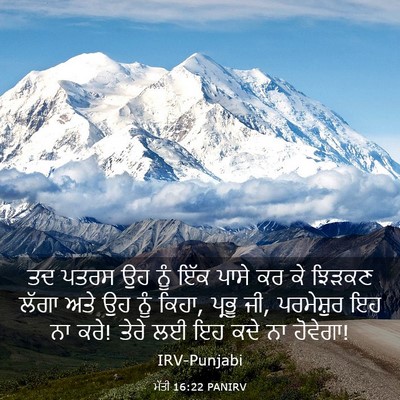 Picture 03 - ਮੱਤੀ 16:22 PANIRV - ਤਦ ਪਤਰਸ ਉਹ ਨੂੰ ਇੱਕ - Bible Verse Picture