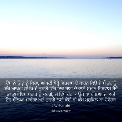 Picture 03 - ਮੱਤੀ 17:20 PANIRV - ਉਸ ਨੇ ਉਨ੍ਹਾਂ ਨੂੰ - Bible Verse Picture