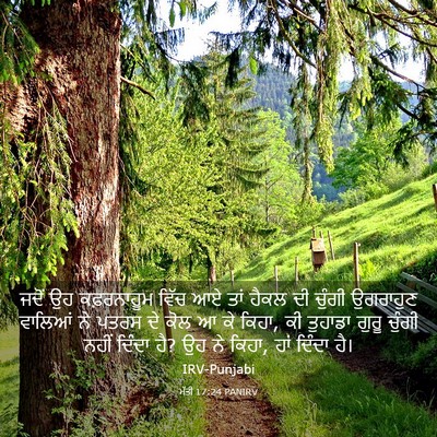 Picture 03 - ਮੱਤੀ 17:24 PANIRV - ਜਦੋਂ ਉਹ ਕਫ਼ਰਨਾਹੂਮ - Bible Verse Picture