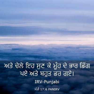 Picture 03 - ਮੱਤੀ 17:6 PANIRV - ਅਤੇ ਚੇਲੇ ਇਹ ਸੁਣ ਕੇ - Bible Verse Picture