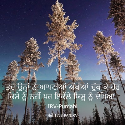 Picture 03 - ਮੱਤੀ 17:8 PANIRV - ਤਦ ਉਨ੍ਹਾਂ ਨੇ - Bible Verse Picture