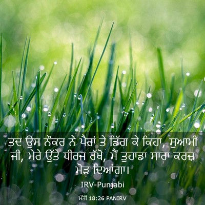 Picture 03 - ਮੱਤੀ 18:26 PANIRV - ਤਦ ਉਸ ਨੌਕਰ ਨੇ ਪੈਰਾਂ - Bible Verse Picture