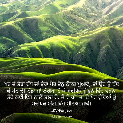 Picture 03 - ਮੱਤੀ 18:8 PANIRV - ਪਰ ਜੇ ਤੇਰਾ ਹੱਥ ਜਾਂ - Bible Verse Picture