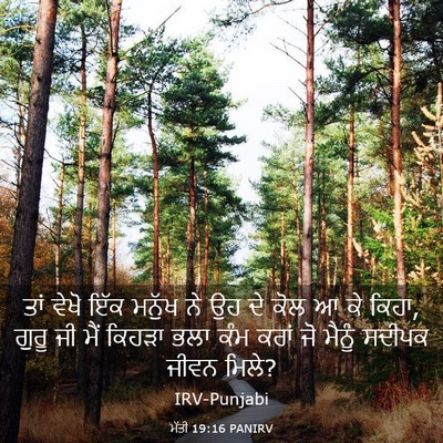 Picture 03 - ਮੱਤੀ 19:16 PANIRV - ਤਾਂ ਵੇਖੋ ਇੱਕ ਮਨੁੱਖ - Bible Verse Picture