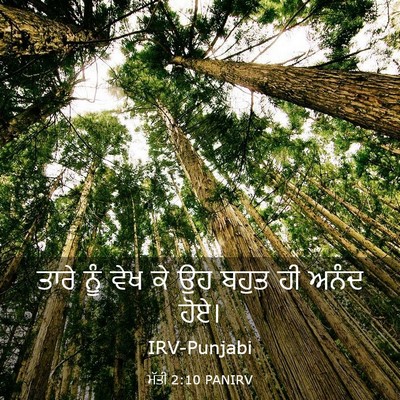 Picture 03 - ਮੱਤੀ 2:10 PANIRV - ਤਾਰੇ ਨੂੰ ਵੇਖ ਕੇ ਉਹ - Bible Verse Picture