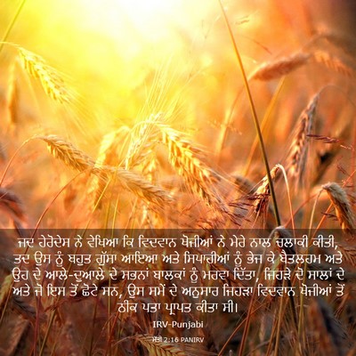 Picture 03 - ਮੱਤੀ 2:16 PANIRV - ਜਦ ਹੇਰੋਦੇਸ ਨੇ - Bible Verse Picture