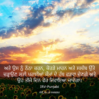Picture 03 - ਮੱਤੀ 20:19 PANIRV - ਅਤੇ ਉਸ ਨੂੰ ਠੱਠਾ - Bible Verse Picture