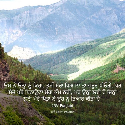 Picture 03 - ਮੱਤੀ 20:23 PANIRV - ਉਸ ਨੇ ਉਨ੍ਹਾਂ ਨੂੰ - Bible Verse Picture