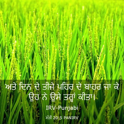 Picture 03 - ਮੱਤੀ 20:5 PANIRV - ਅਤੇ ਦਿਨ ਦੇ ਤੀਜੇ - Bible Verse Picture