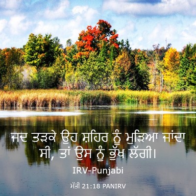 Picture 03 - ਮੱਤੀ 21:18 PANIRV - ਜਦ ਤੜਕੇ ਉਹ ਸ਼ਹਿਰ - Bible Verse Picture