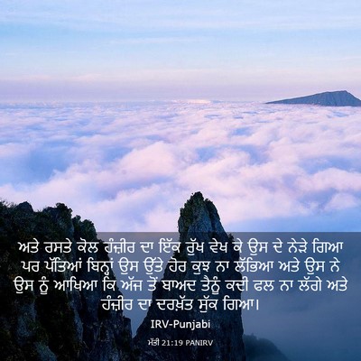 Picture 03 - ਮੱਤੀ 21:19 PANIRV - ਅਤੇ ਰਸਤੇ ਕੋਲ - Bible Verse Picture