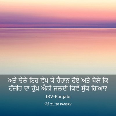 Picture 03 - ਮੱਤੀ 21:20 PANIRV - ਅਤੇ ਚੇਲੇ ਇਹ ਵੇਖ ਕੇ - Bible Verse Picture