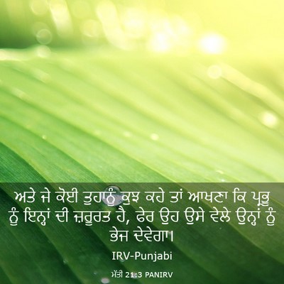Picture 03 - ਮੱਤੀ 21:3 PANIRV - ਅਤੇ ਜੇ ਕੋਈ ਤੁਹਾਨੂੰ - Bible Verse Picture