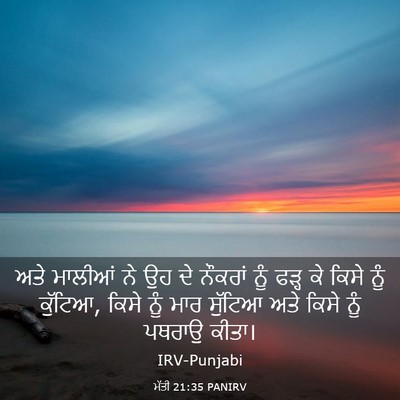 Picture 03 - ਮੱਤੀ 21:35 PANIRV - ਅਤੇ ਮਾਲੀਆਂ ਨੇ ਉਹ ਦੇ - Bible Verse Picture