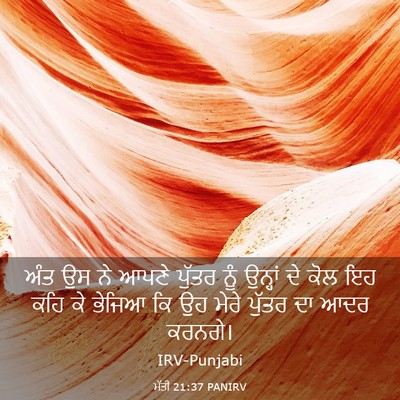 Picture 03 - ਮੱਤੀ 21:37 PANIRV - ਅੰਤ ਉਸ ਨੇ ਆਪਣੇ - Bible Verse Picture
