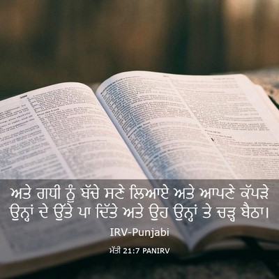 Picture 03 - ਮੱਤੀ 21:7 PANIRV - ਅਤੇ ਗਧੀ ਨੂੰ ਬੱਚੇ - Bible Verse Picture