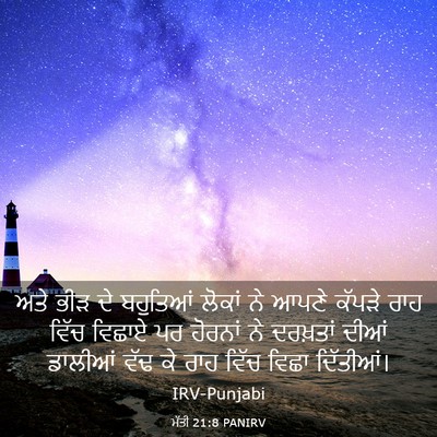 Picture 03 - ਮੱਤੀ 21:8 PANIRV - ਅਤੇ ਭੀੜ ਦੇ ਬਹੁਤਿਆਂ - Bible Verse Picture