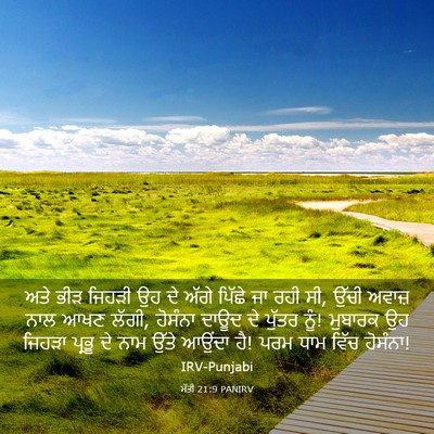 Picture 03 - ਮੱਤੀ 21:9 PANIRV - ਅਤੇ ਭੀੜ ਜਿਹੜੀ ਉਹ ਦੇ - Bible Verse Picture