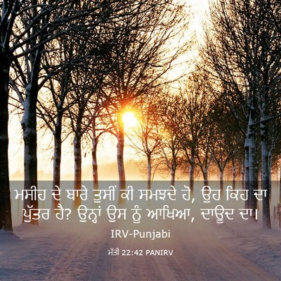 Picture 03 - ਮੱਤੀ 22:42 PANIRV - ਮਸੀਹ ਦੇ ਬਾਰੇ ਤੁਸੀਂ - Bible Verse Picture