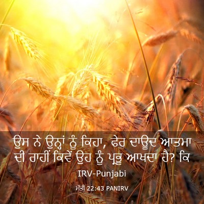 Picture 03 - ਮੱਤੀ 22:43 PANIRV - ਉਸ ਨੇ ਉਨ੍ਹਾਂ ਨੂੰ - Bible Verse Picture