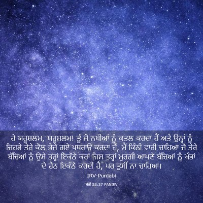 Picture 03 - ਮੱਤੀ 23:37 PANIRV - ਹੇ ਯਰੂਸ਼ਲਮ, - Bible Verse Picture