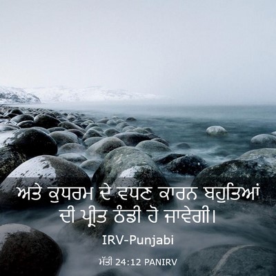 Picture 03 - ਮੱਤੀ 24:12 PANIRV - ਅਤੇ ਕੁਧਰਮ ਦੇ ਵਧਣ - Bible Verse Picture