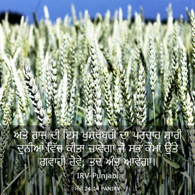 Picture 03 - ਮੱਤੀ 24:14 PANIRV - ਅਤੇ ਰਾਜ ਦੀ ਇਸ - Bible Verse Picture