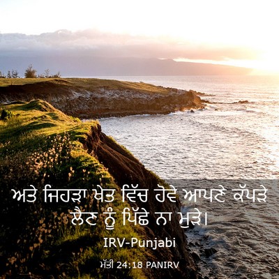 Picture 03 - ਮੱਤੀ 24:18 PANIRV - ਅਤੇ ਜਿਹੜਾ ਖੇਤ ਵਿੱਚ - Bible Verse Picture