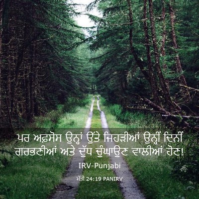 Picture 03 - ਮੱਤੀ 24:19 PANIRV - ਪਰ ਅਫ਼ਸੋਸ ਉਨ੍ਹਾਂ - Bible Verse Picture