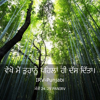 Picture 03 - ਮੱਤੀ 24:25 PANIRV - ਵੇਖੋ ਮੈਂ ਤੁਹਾਨੂੰ - Bible Verse Picture