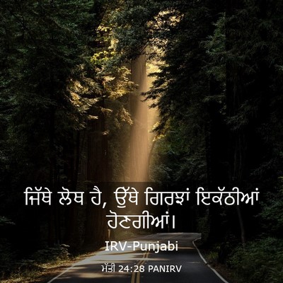 Picture 03 - ਮੱਤੀ 24:28 PANIRV - ਜਿੱਥੇ ਲੋਥ ਹੈ, ਉੱਥੇ - Bible Verse Picture