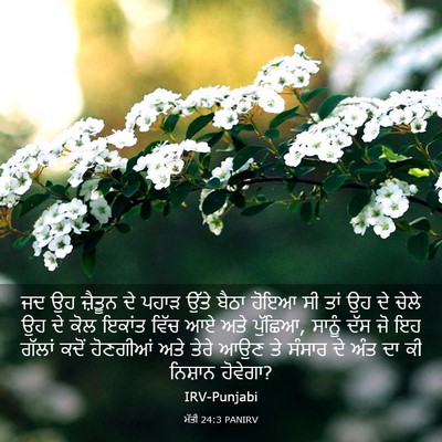 Picture 03 - ਮੱਤੀ 24:3 PANIRV - ਜਦ ਉਹ ਜ਼ੈਤੂਨ ਦੇ - Bible Verse Picture