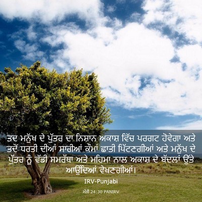 Picture 03 - ਮੱਤੀ 24:30 PANIRV - ਤਦ ਮਨੁੱਖ ਦੇ ਪੁੱਤਰ - Bible Verse Picture