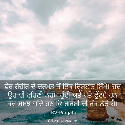 Picture 03 - ਮੱਤੀ 24:32 PANIRV - ਫੇਰ ਹੰਜ਼ੀਰ ਦੇ - Bible Verse Picture